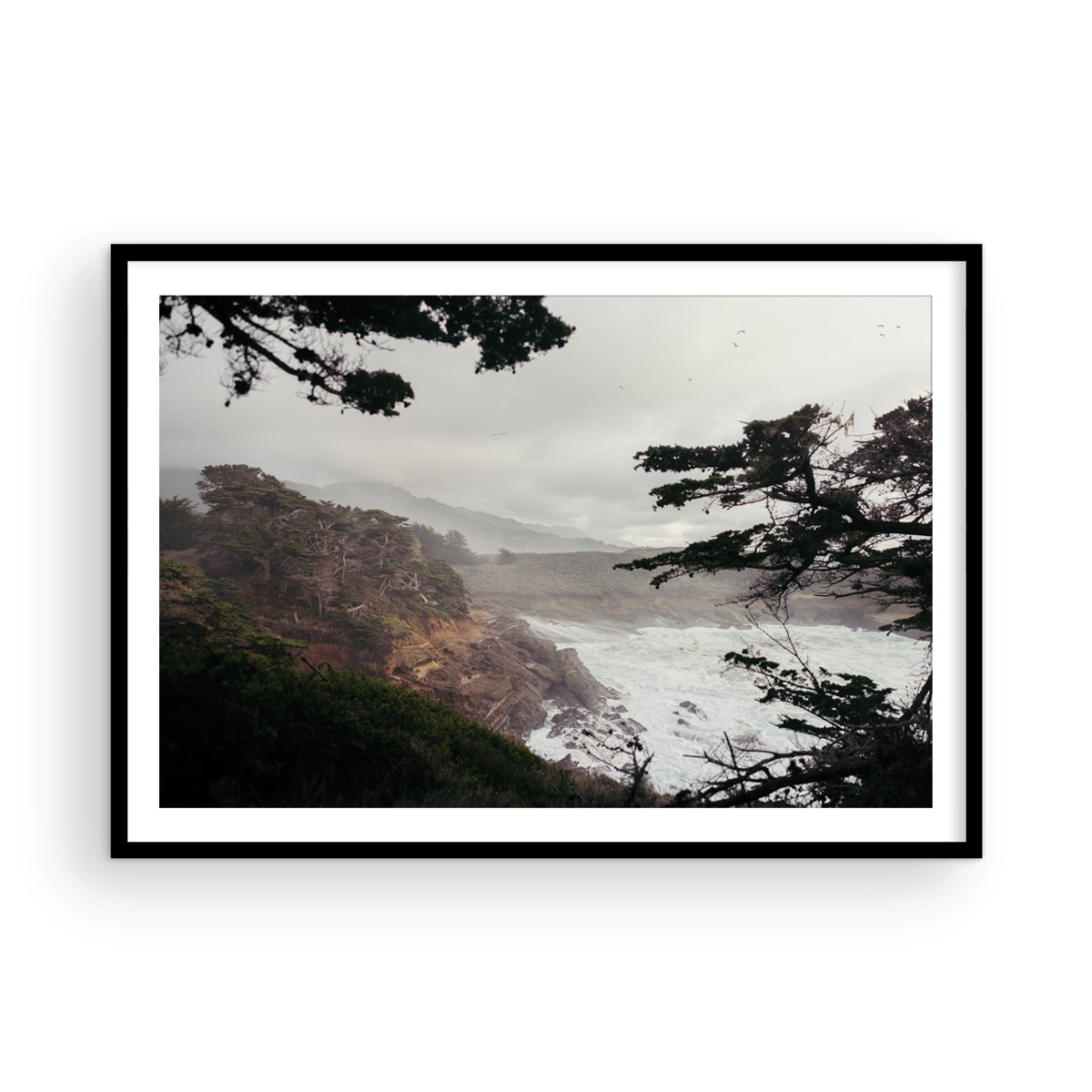 Point Lobos, Five