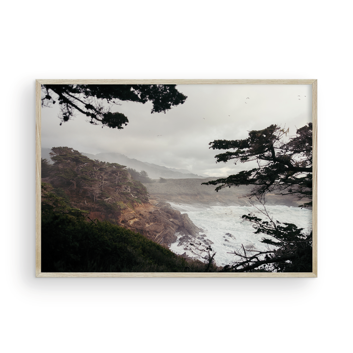 Point Lobos, Five