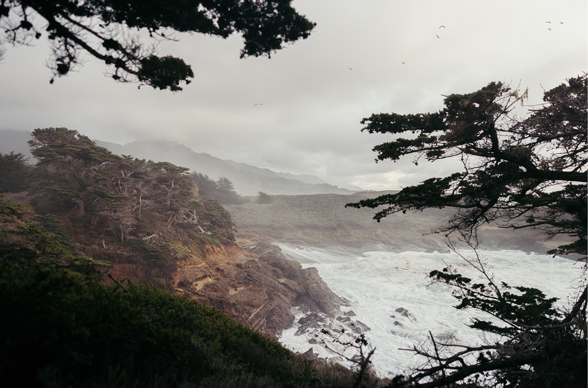 Point Lobos, Five
