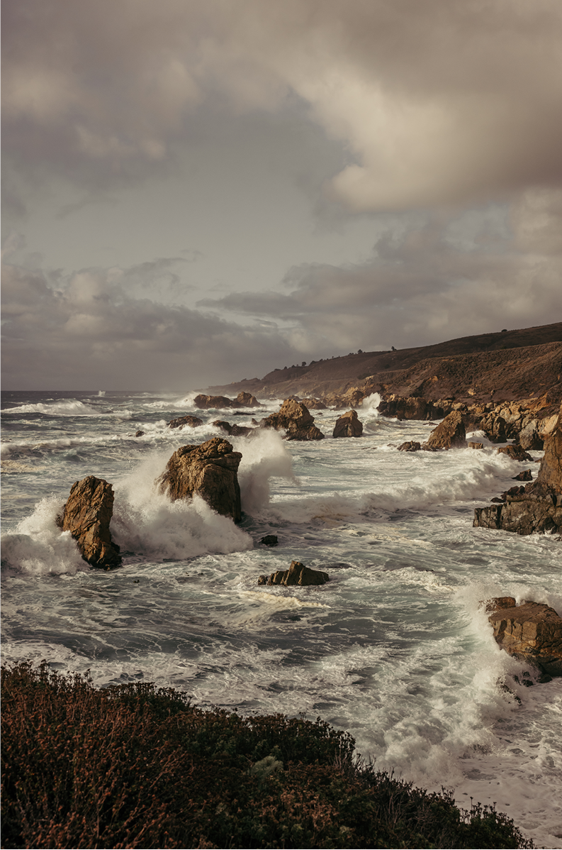 Garrapata, One