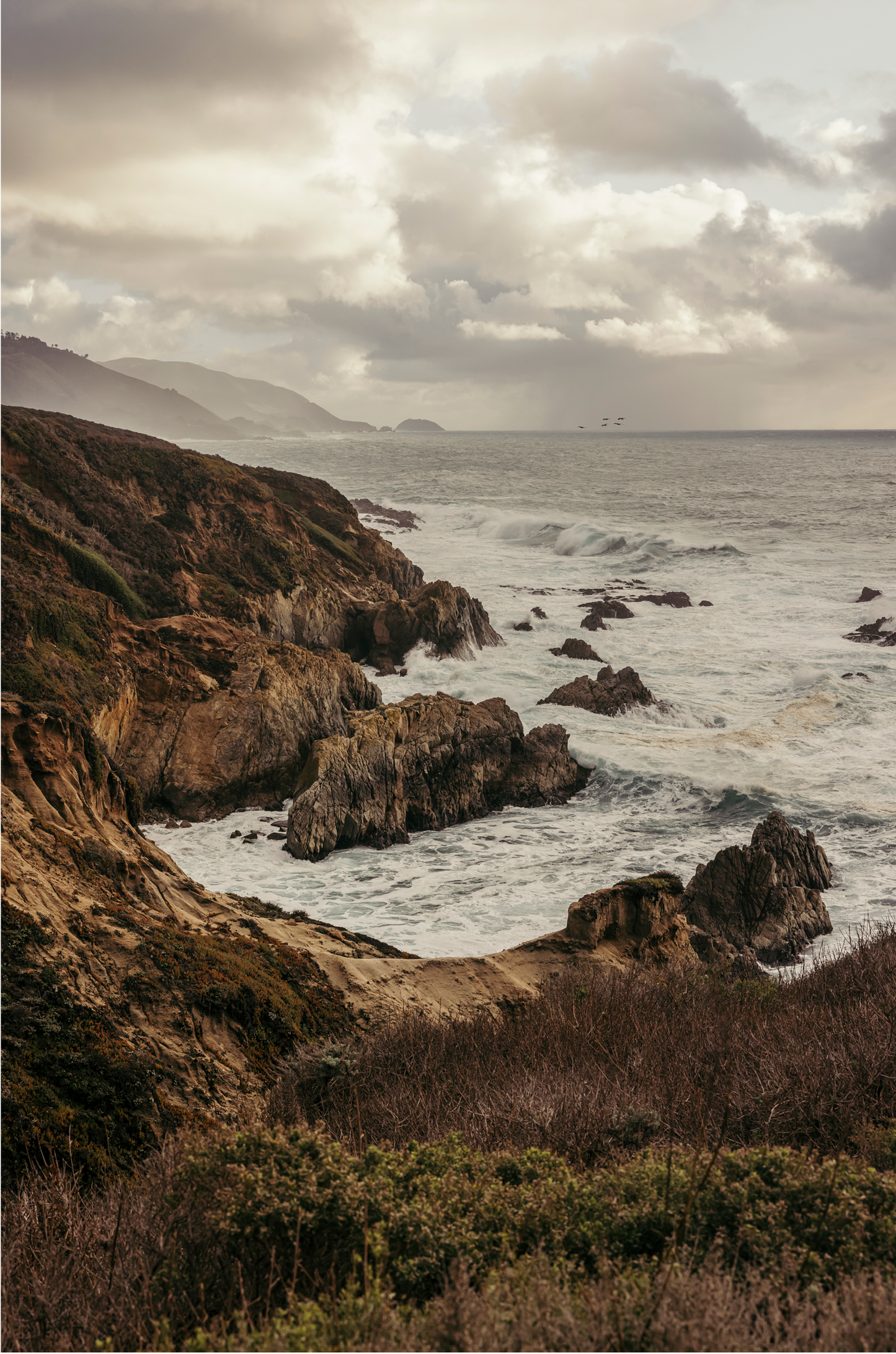 Garrapata, Three