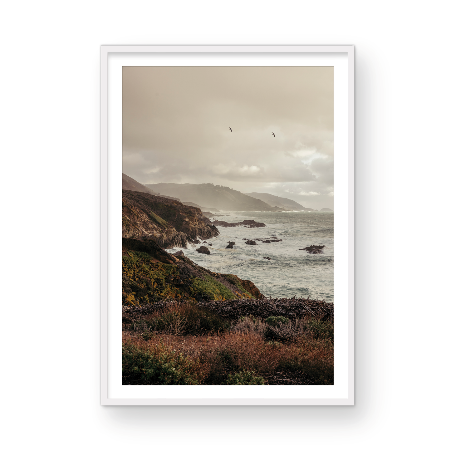 Garrapata, Four