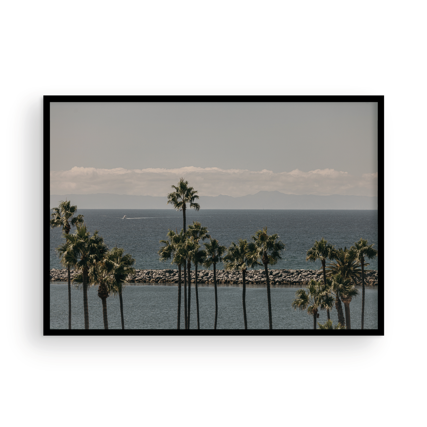 Corona Del Mar, Three
