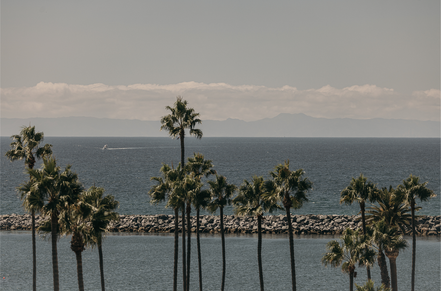 Corona Del Mar, Three