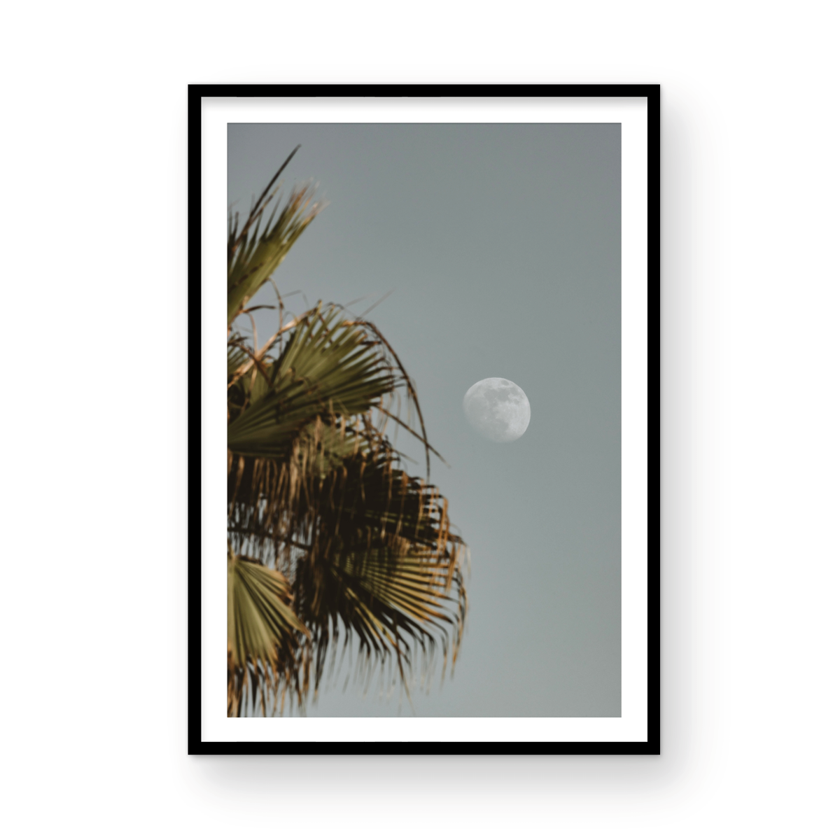 Moonrise, Seven