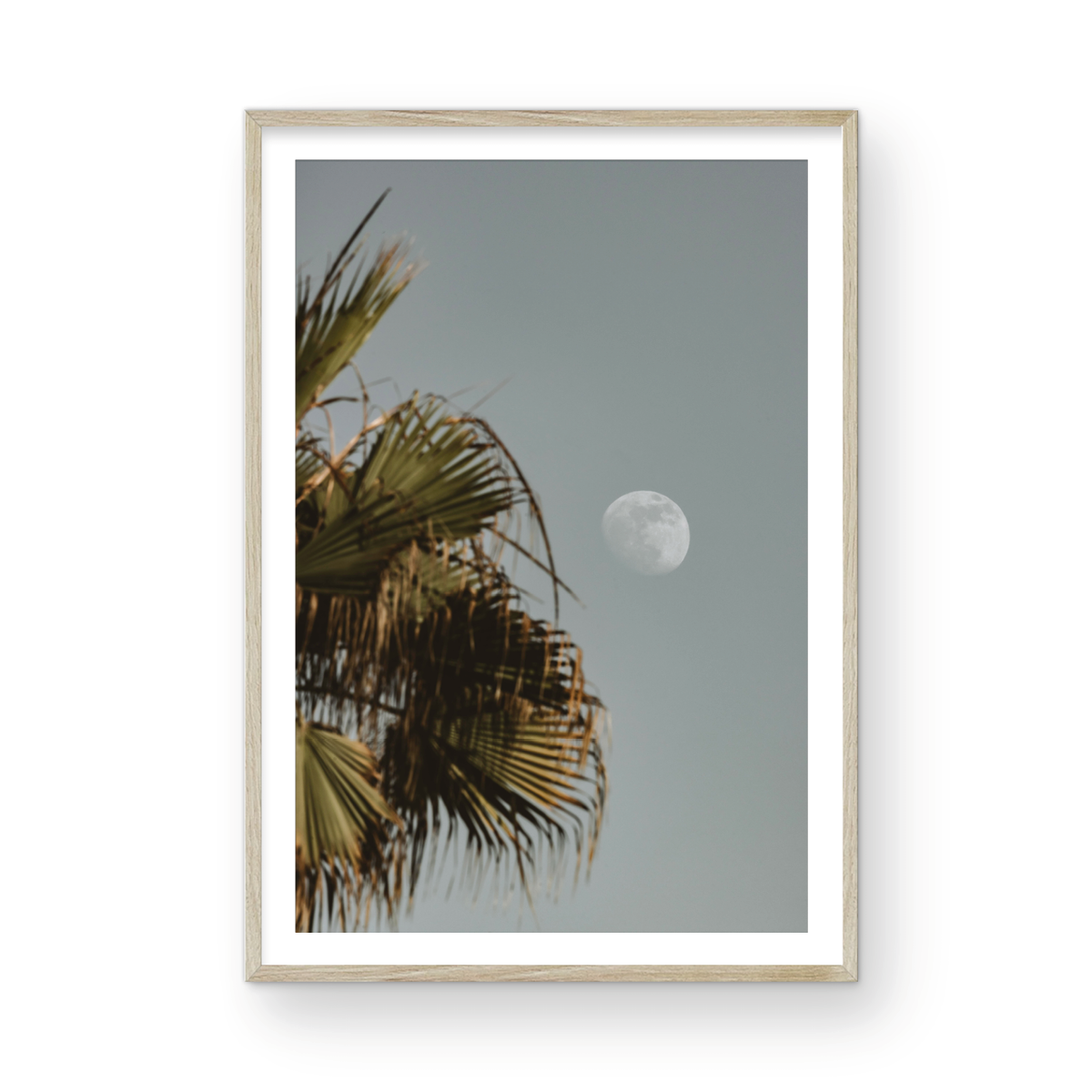 Moonrise, Seven