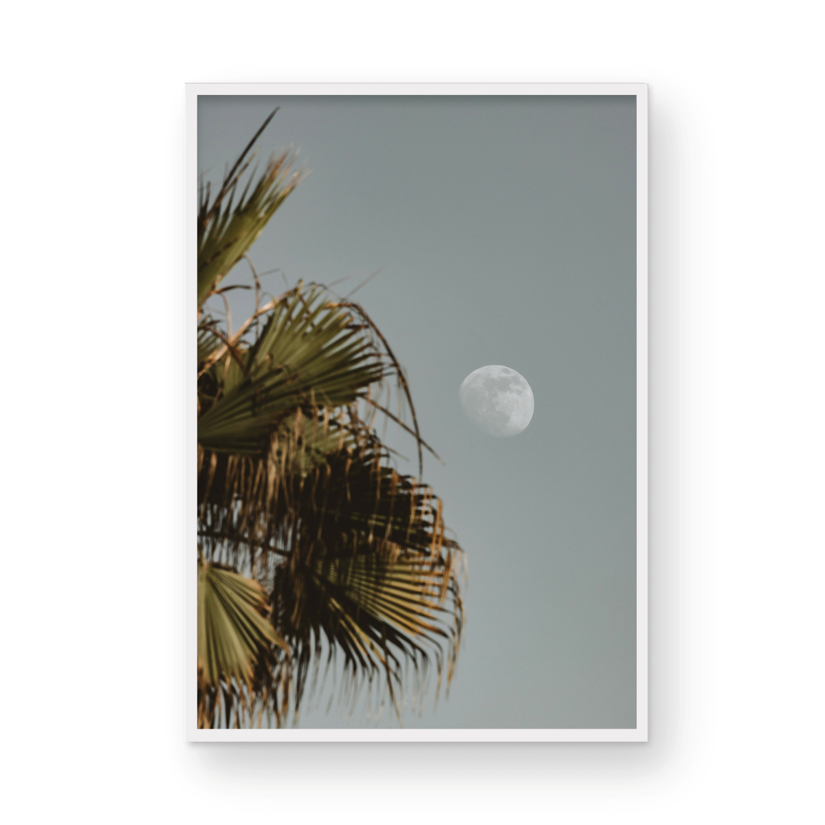 Moonrise, Seven