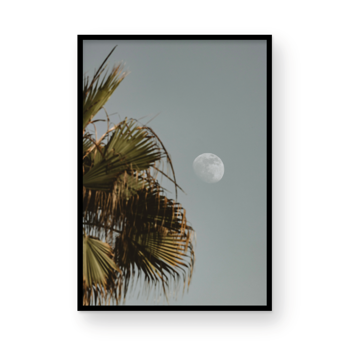 Moonrise, Seven