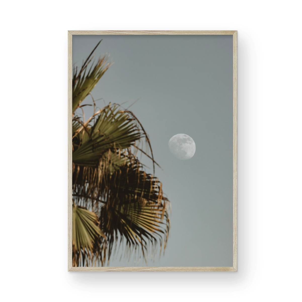Moonrise, Seven