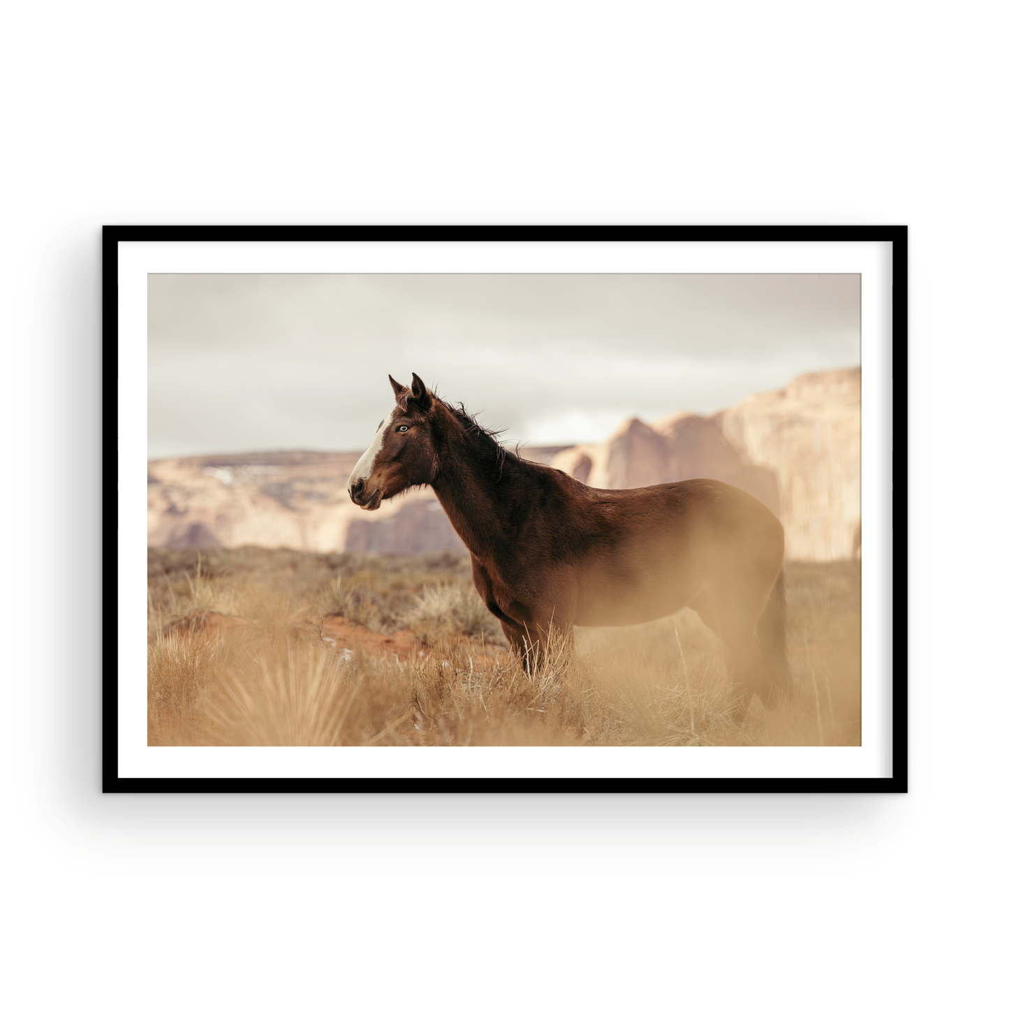 Monument Valley, One