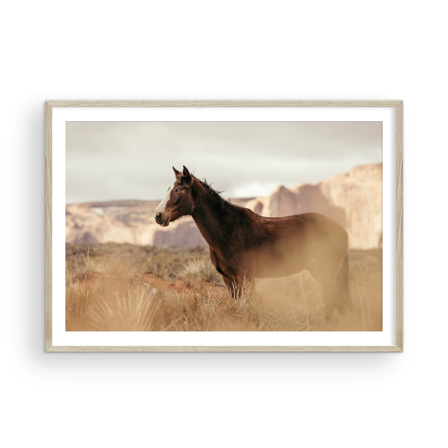 Monument Valley, One