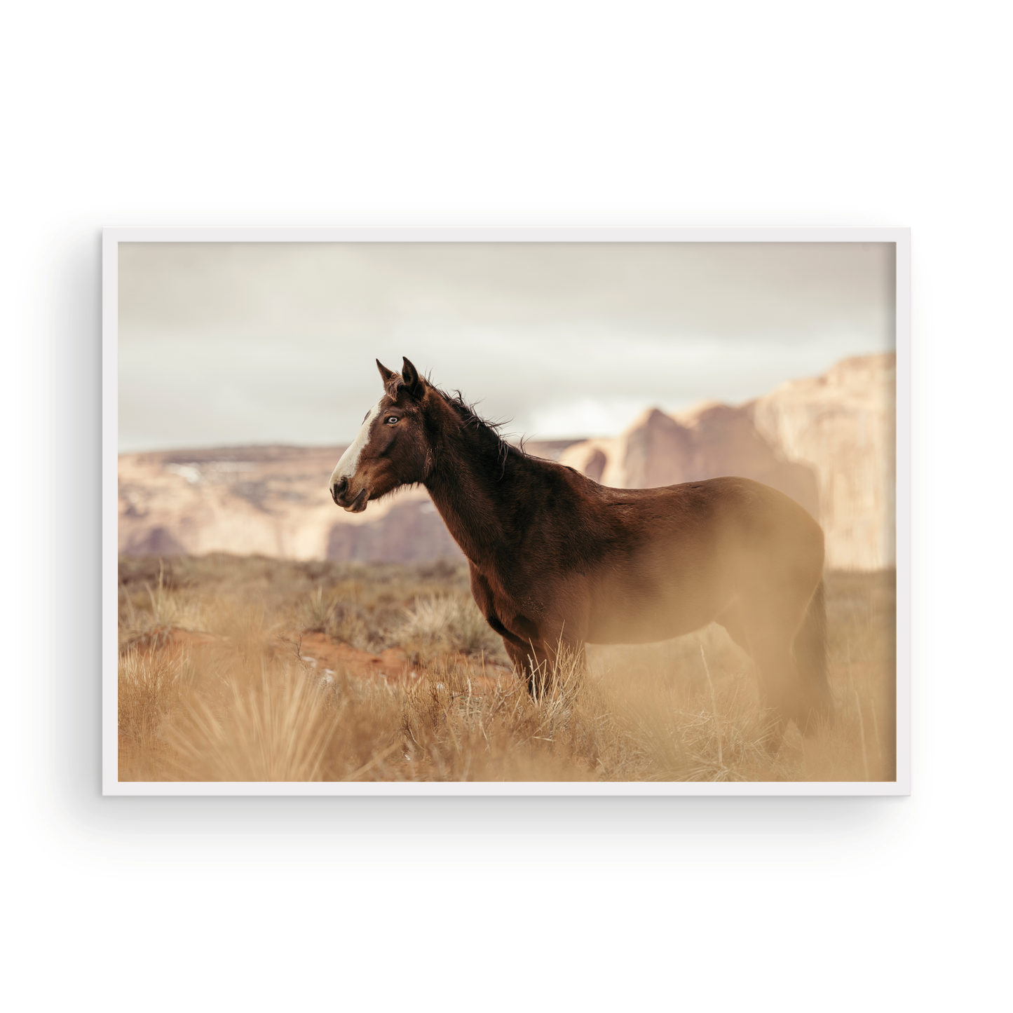 Monument Valley, One