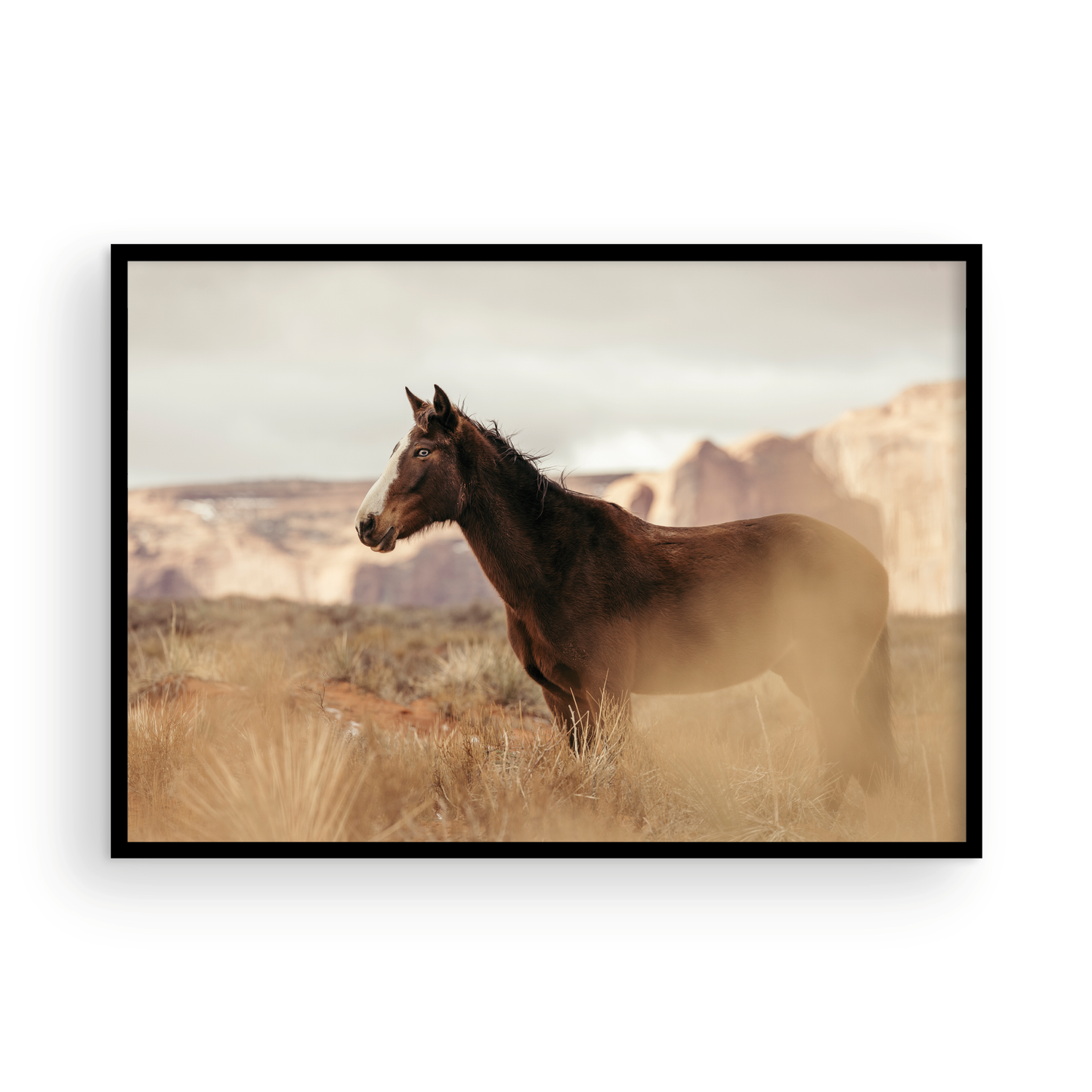 Monument Valley, One