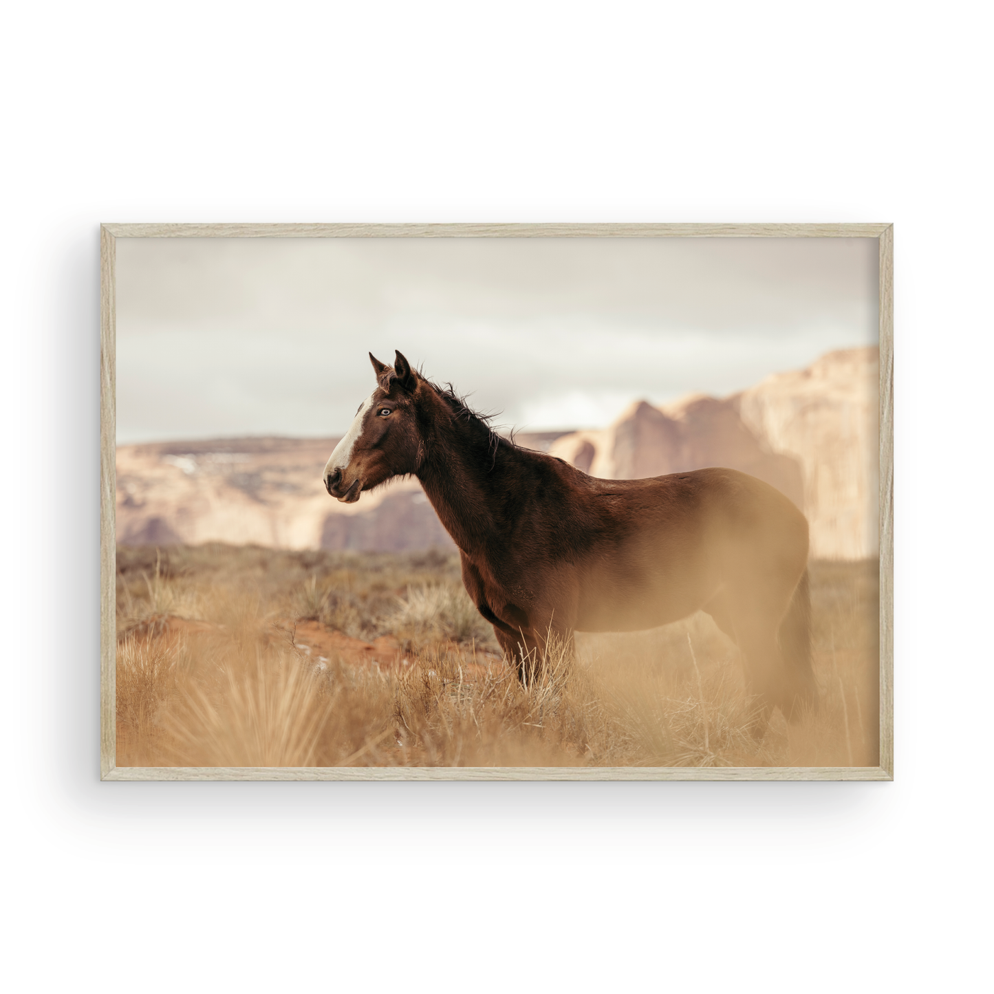 Monument Valley, One