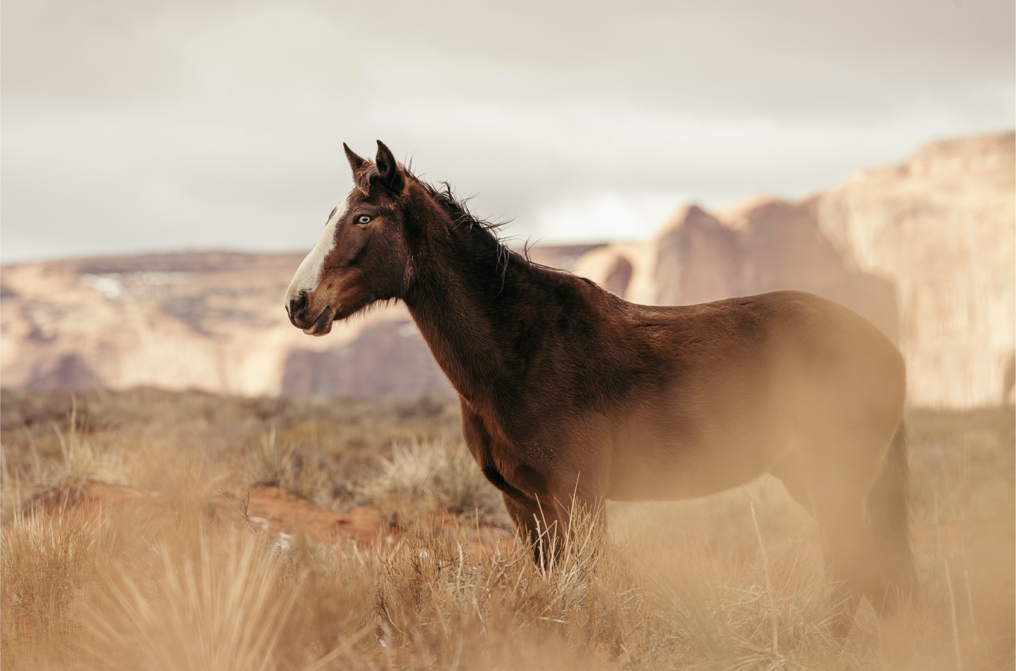 Monument Valley, One