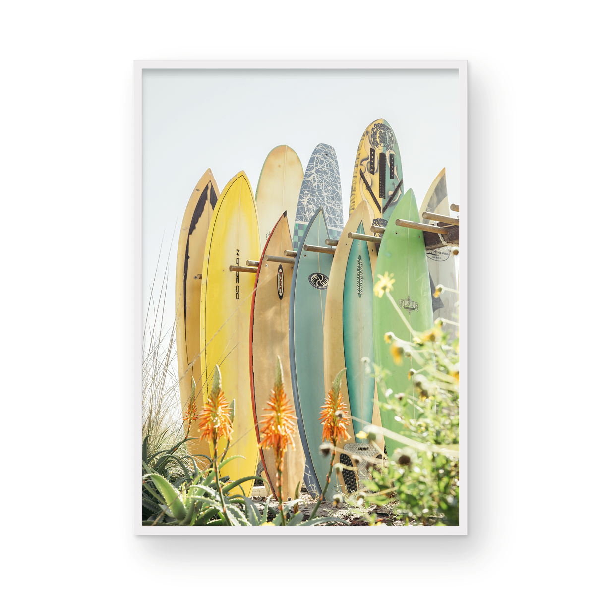 Coronado Island, Eight