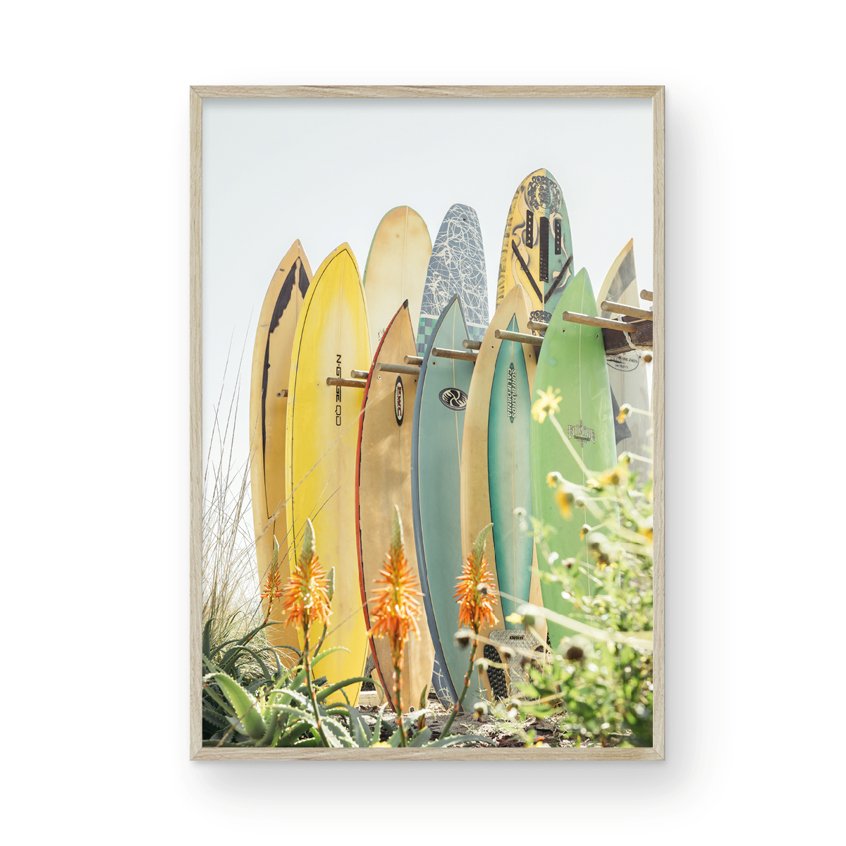 Coronado Island, Eight