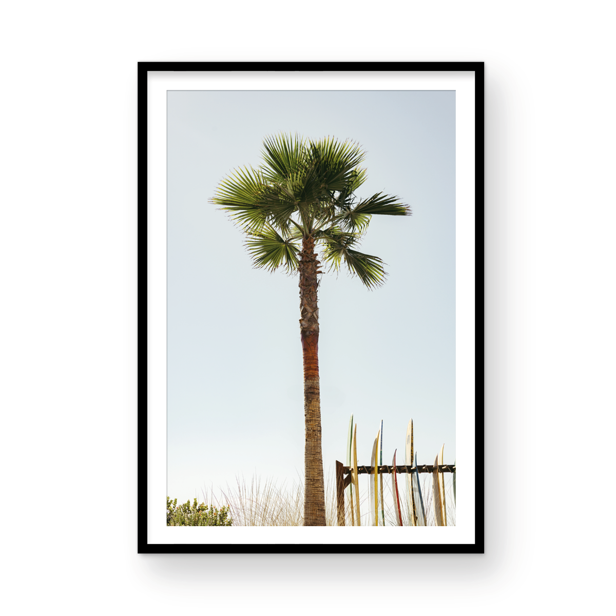 Coronado Island, One