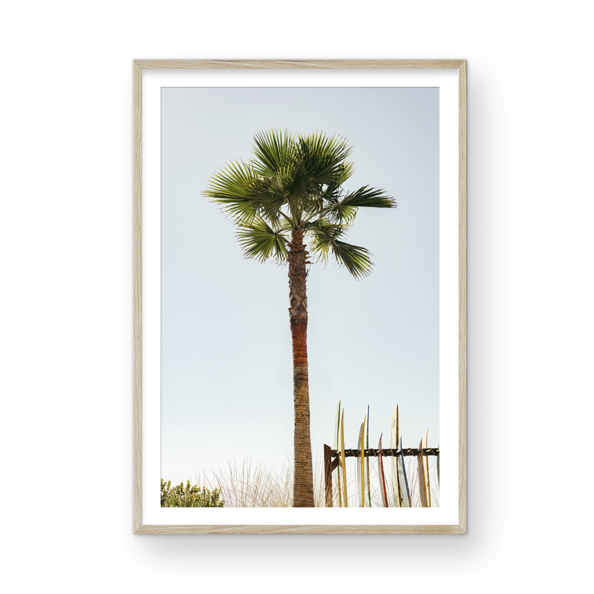 Coronado Island, One