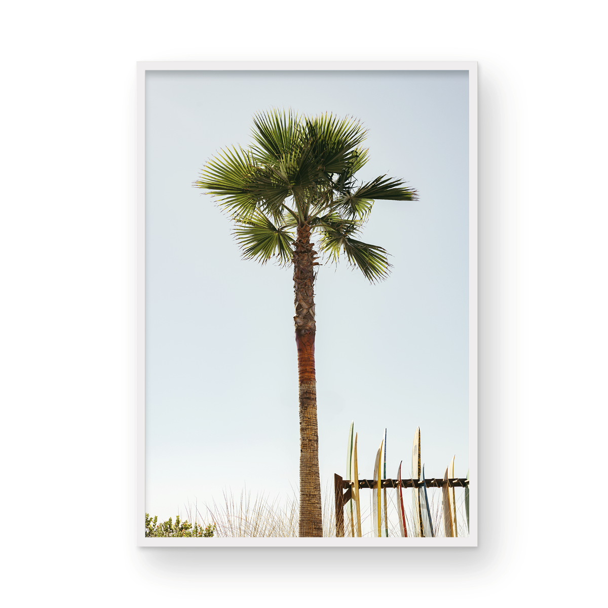 Coronado Island, One