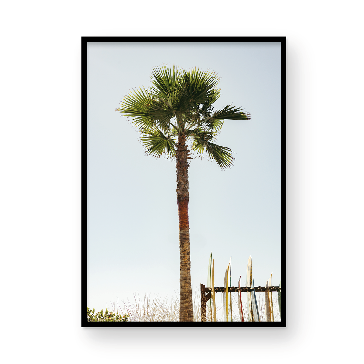 Coronado Island, One