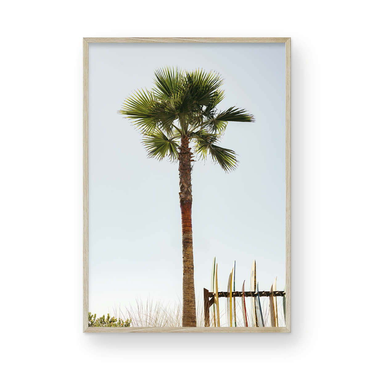 Coronado Island, One