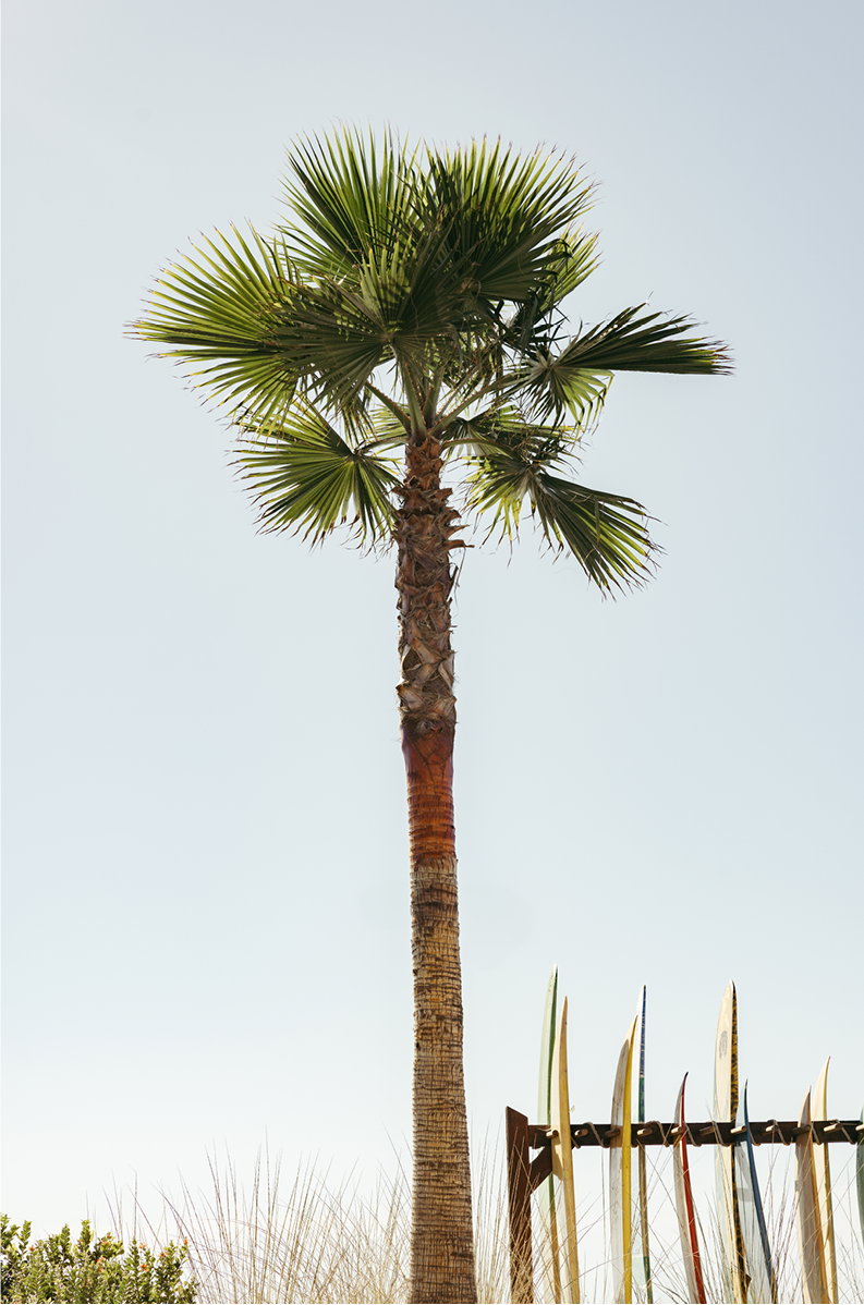 Coronado Island, One