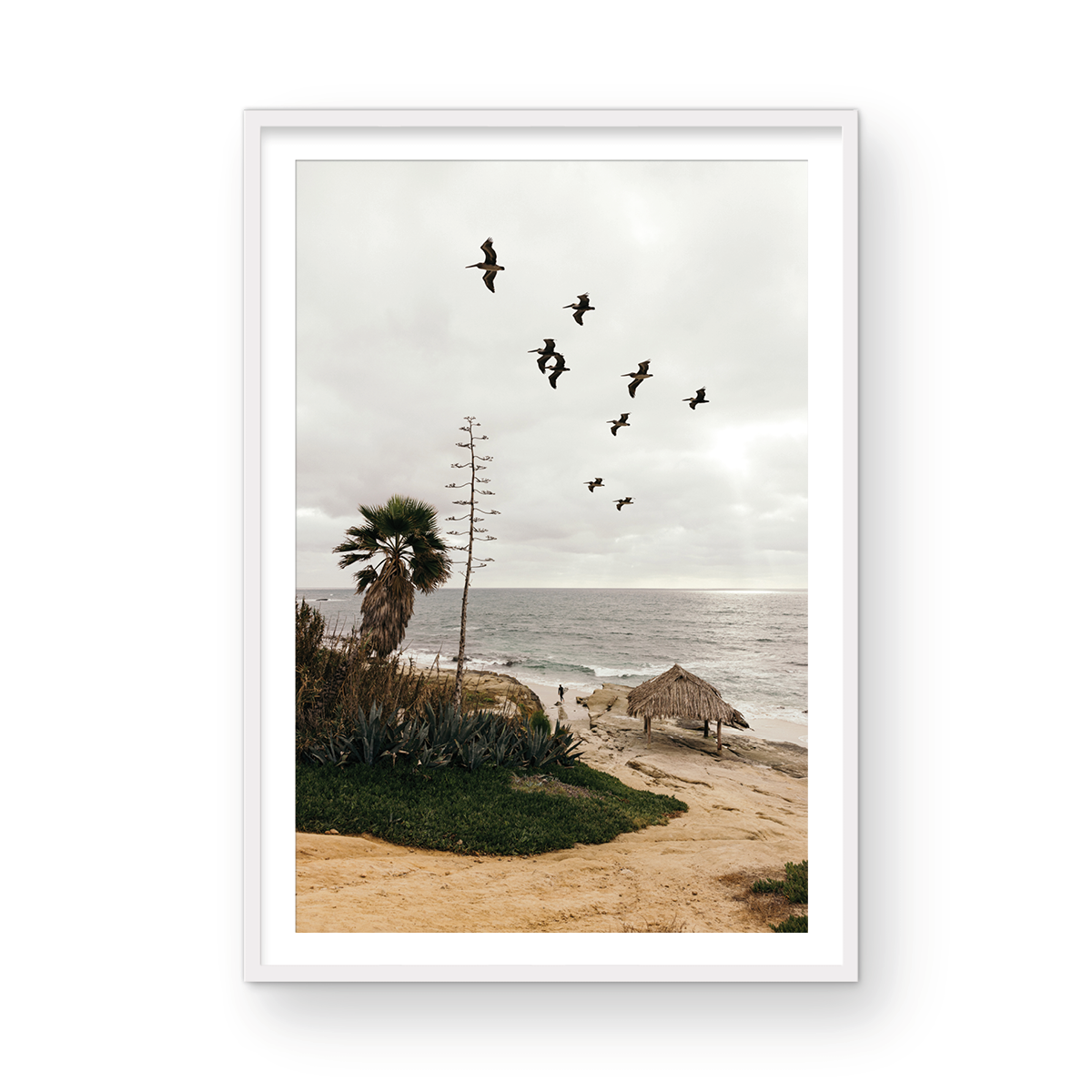 Windansea, One