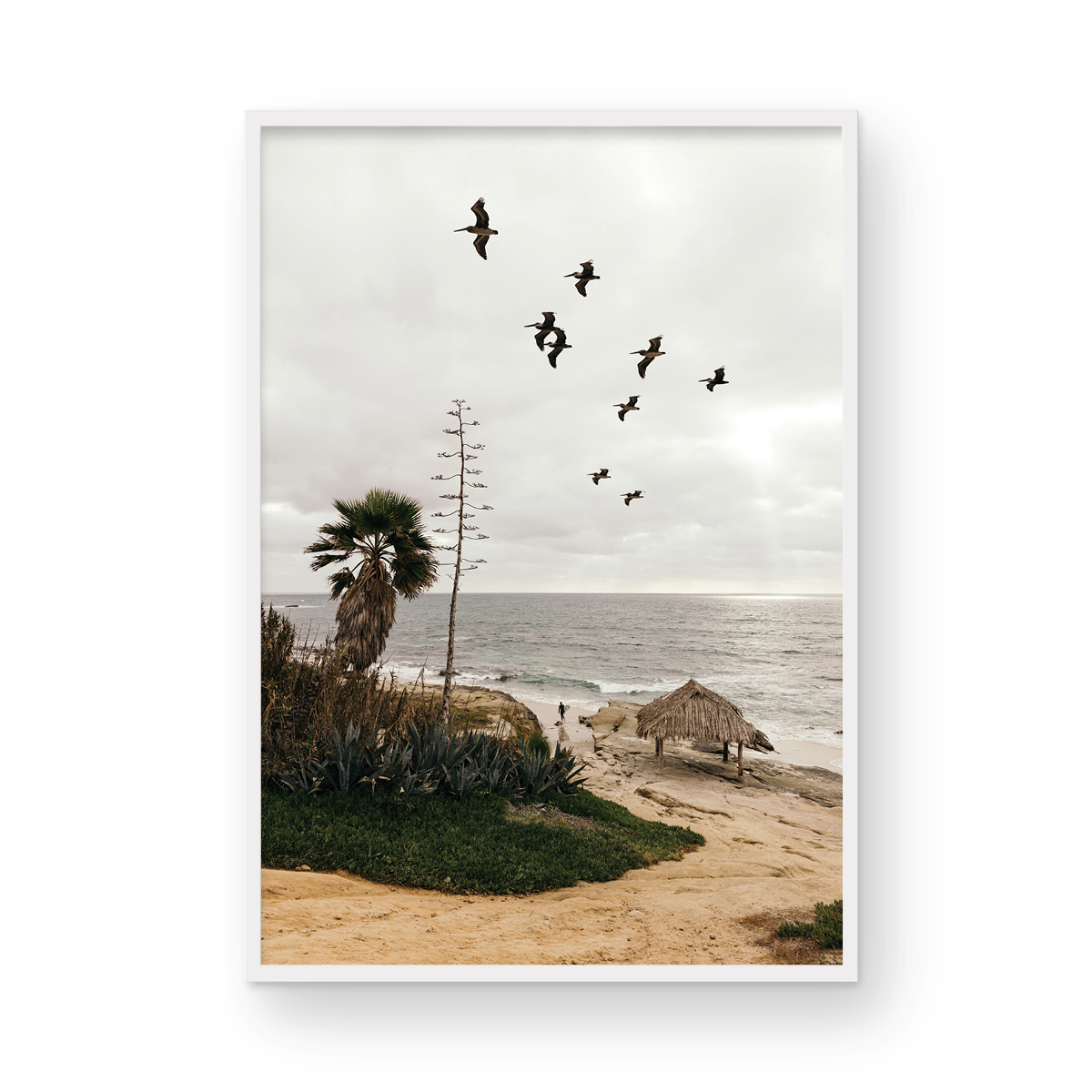 Windansea, One