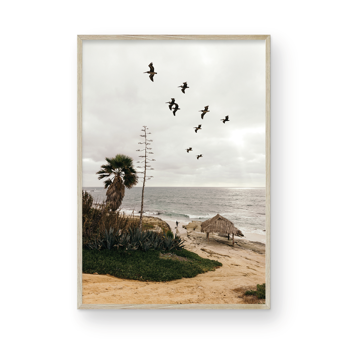 Windansea, One