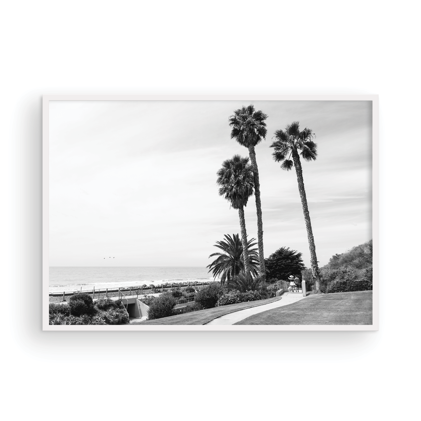 Linda Lane, One: Monochrome