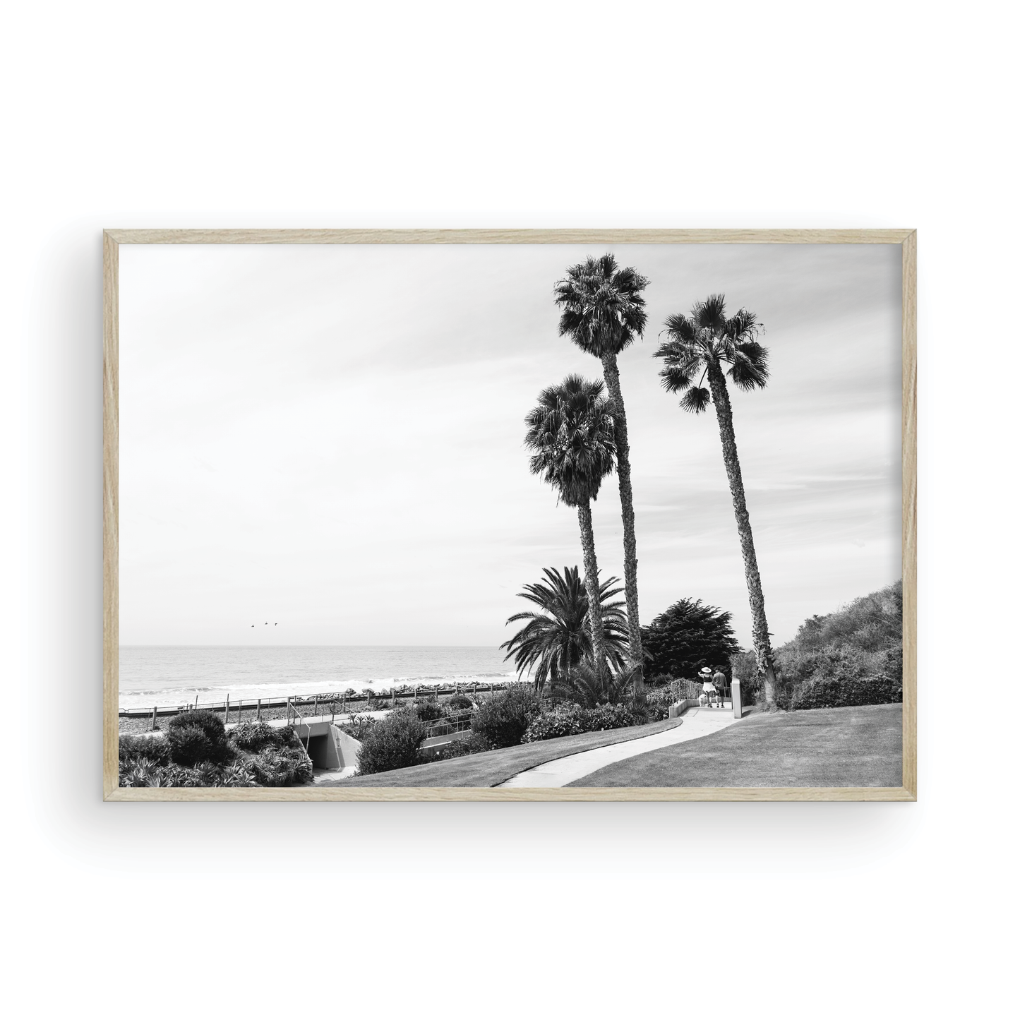 Linda Lane, One: Monochrome