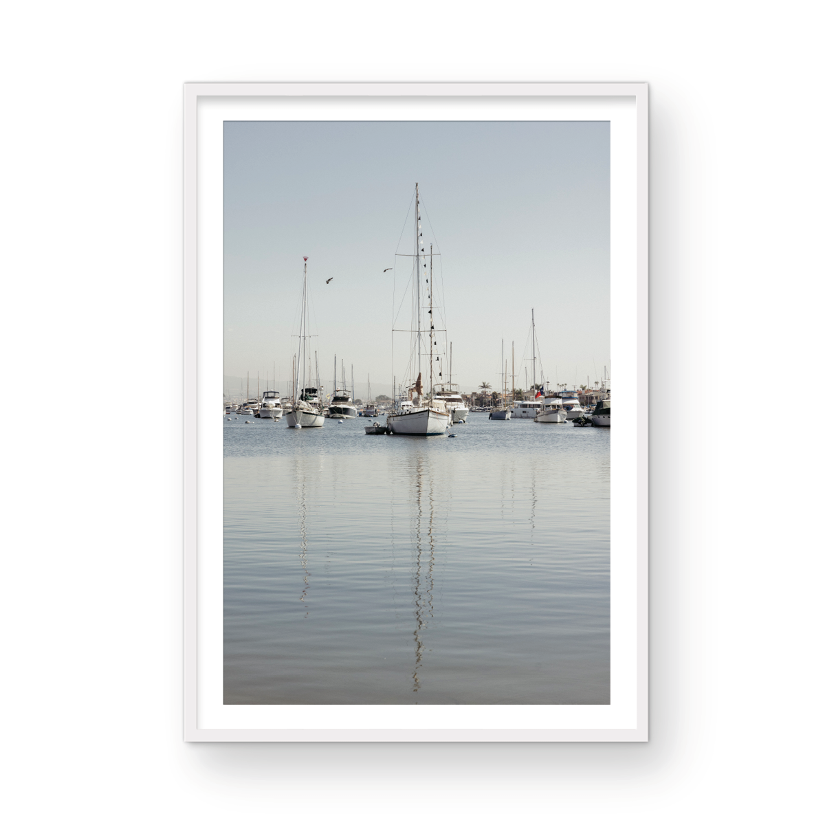 Newport Harbor, Three