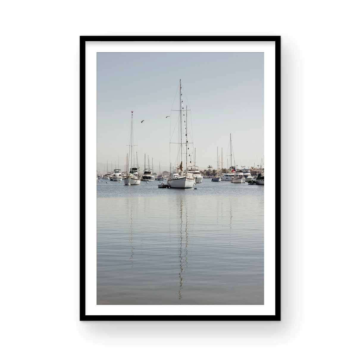 Newport Harbor, Three