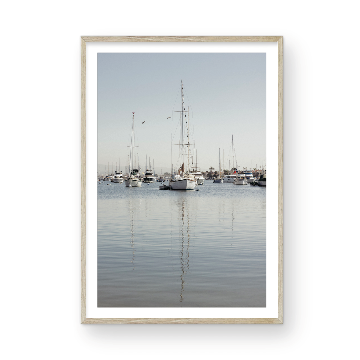 Newport Harbor, Three