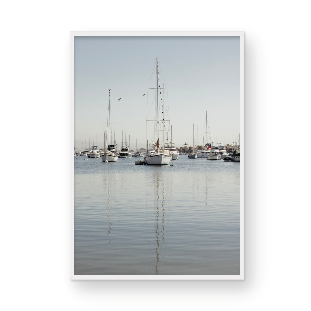Newport Harbor, Three