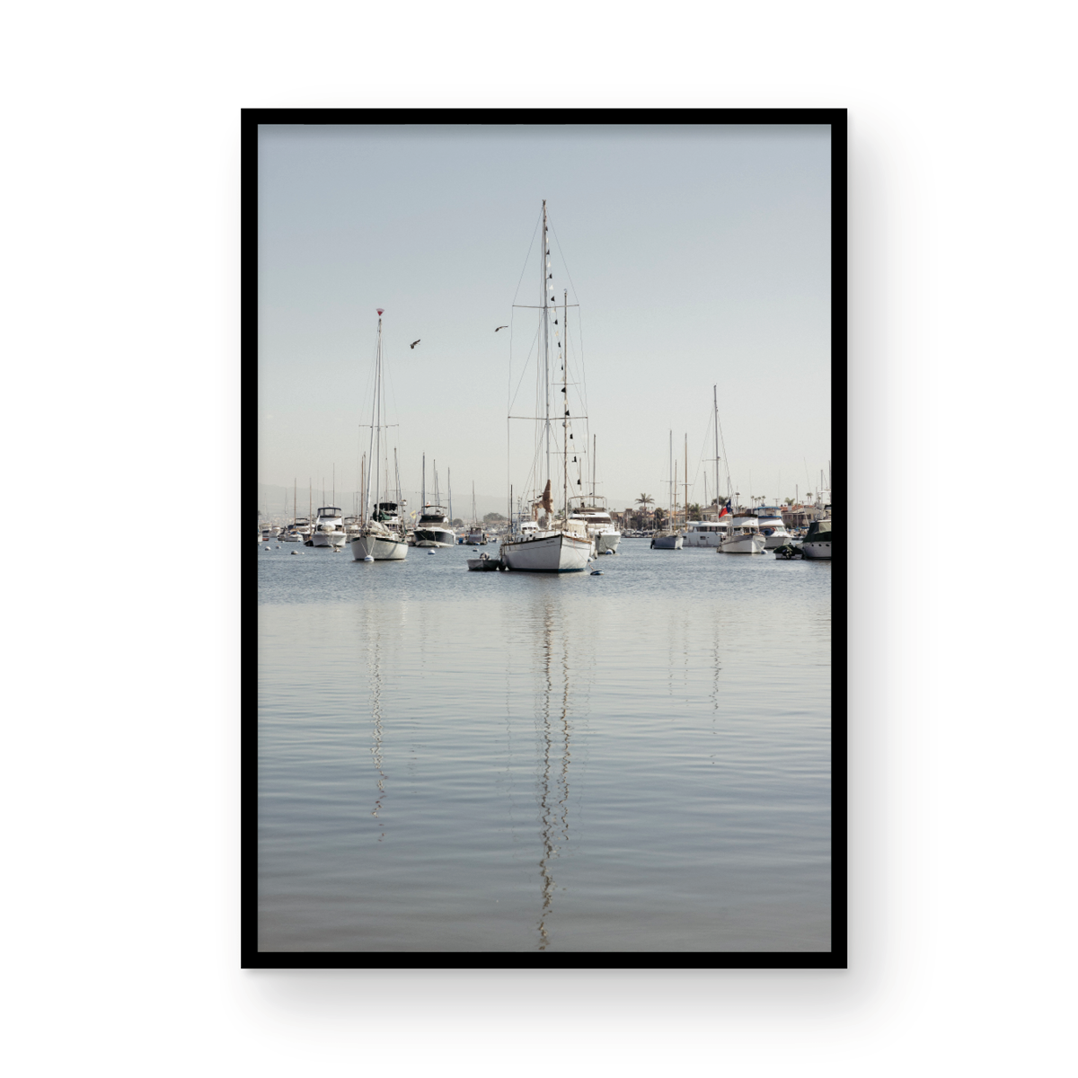 Newport Harbor, Three