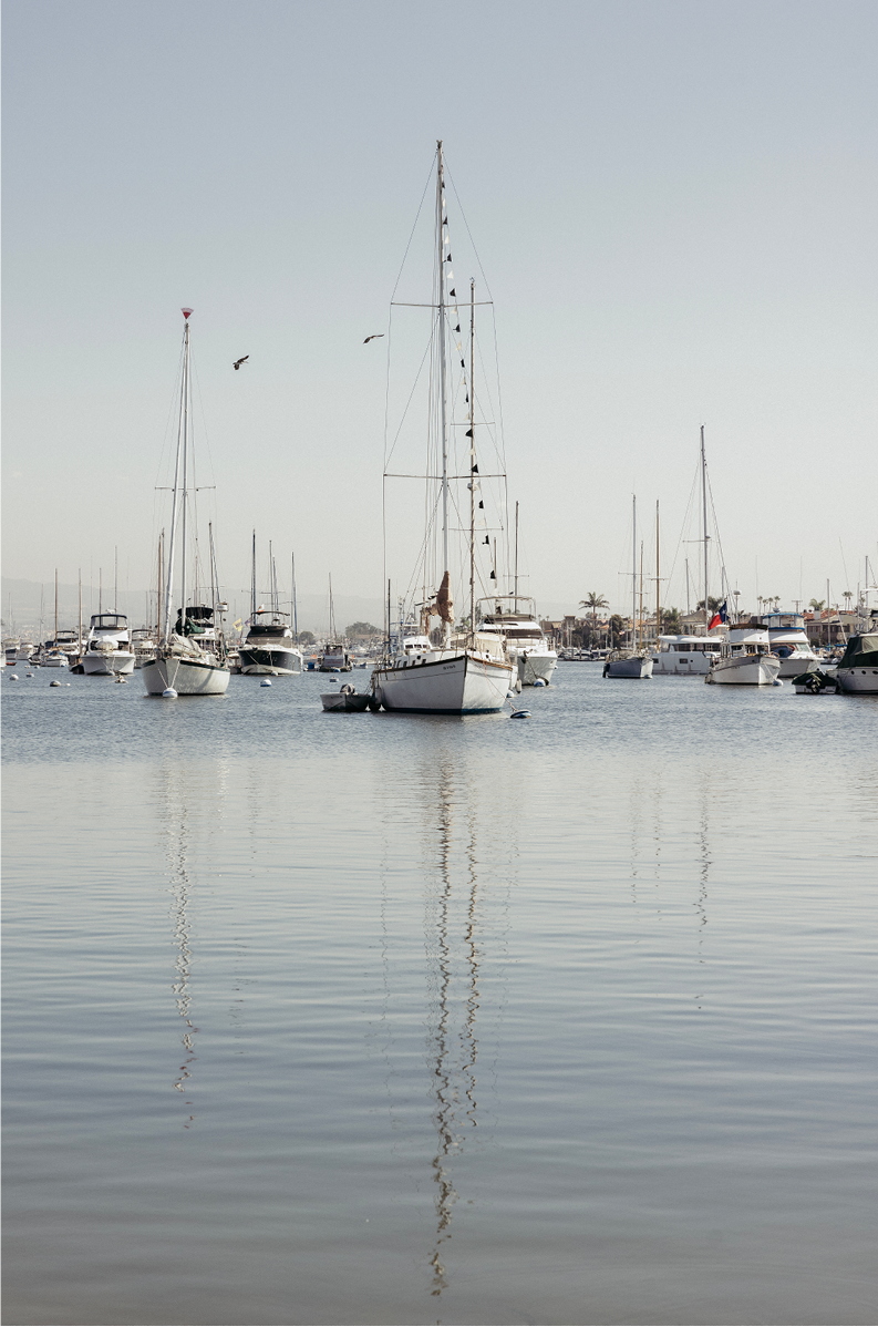 Newport Harbor, Three