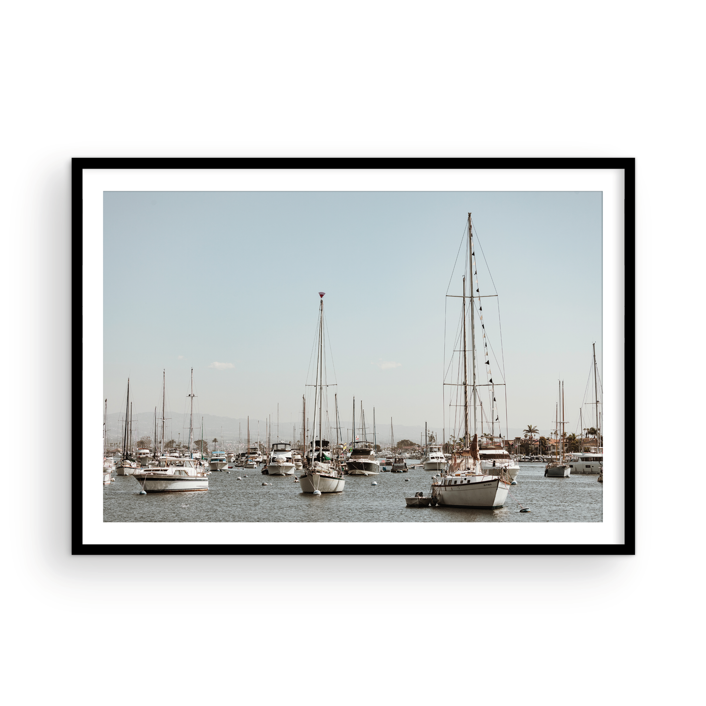 Newport Harbor, Four