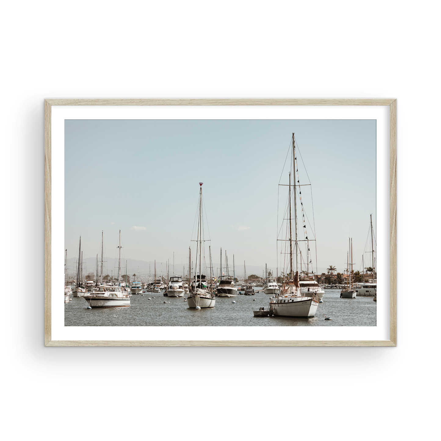 Newport Harbor, Four