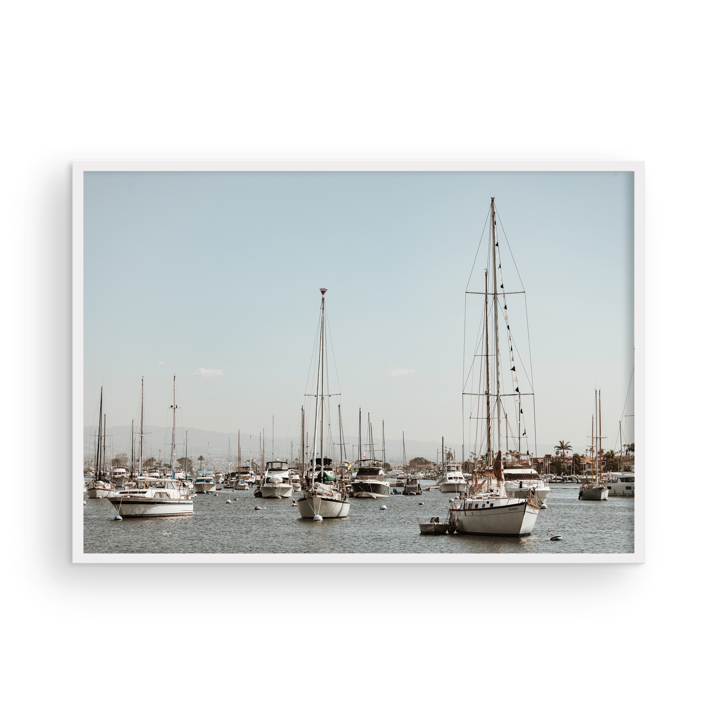 Newport Harbor, Four