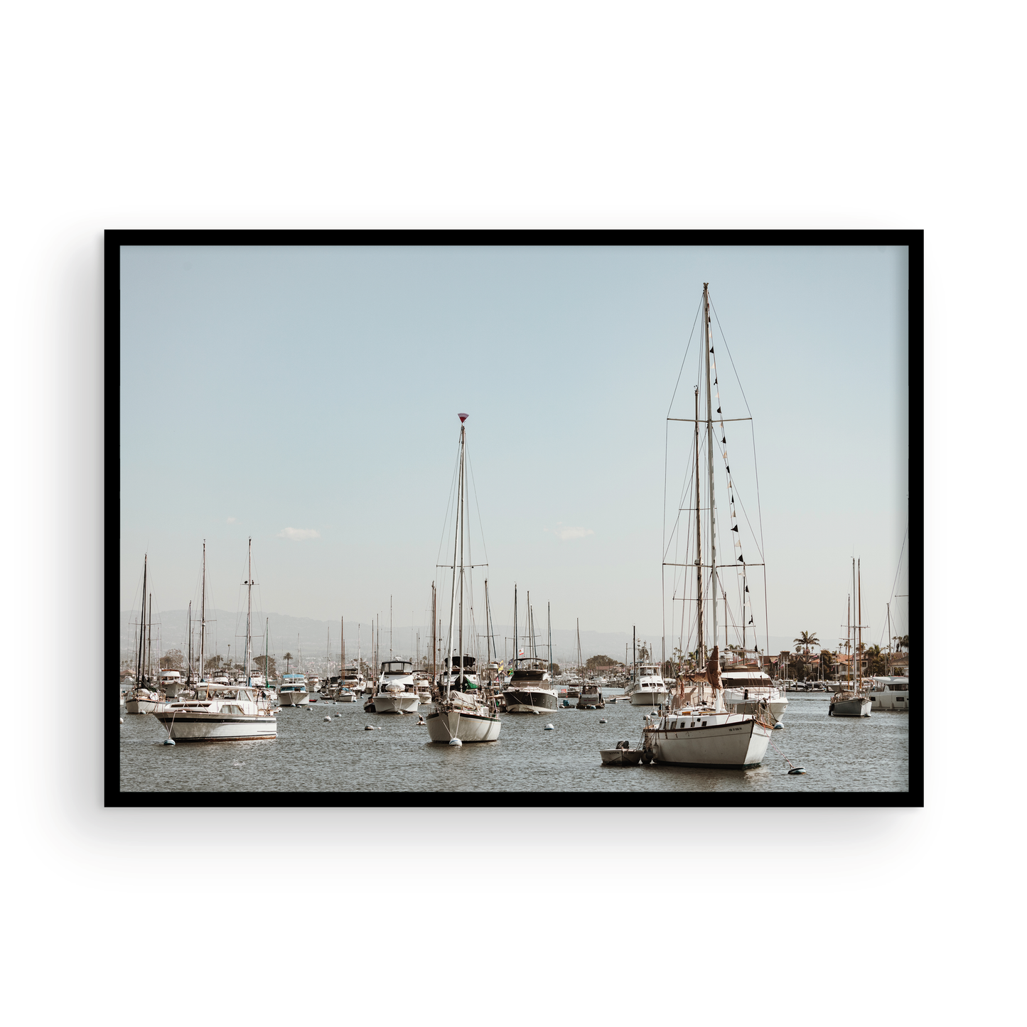 Newport Harbor, Four
