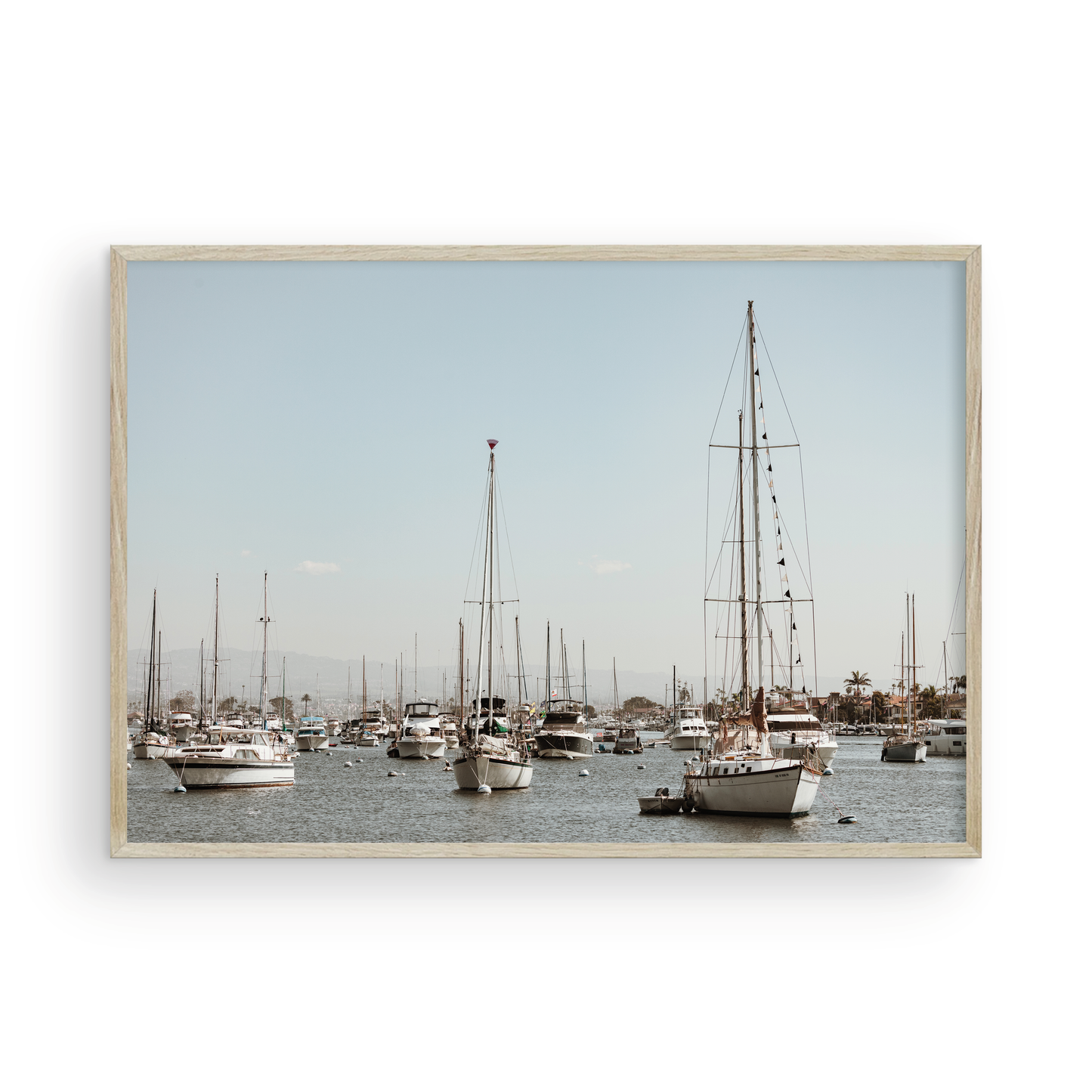 Newport Harbor, Four