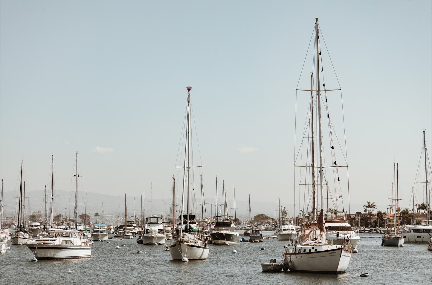 Newport Harbor, Four
