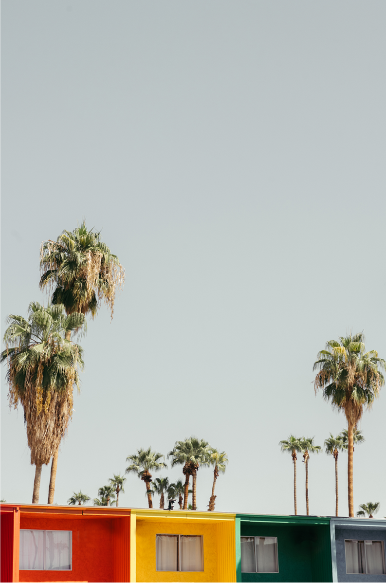 PS Palms, Two