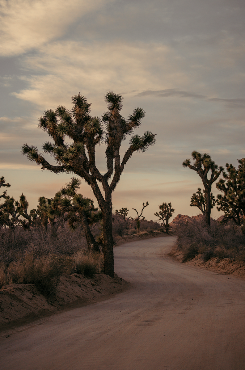 Sunset in the Park, Two