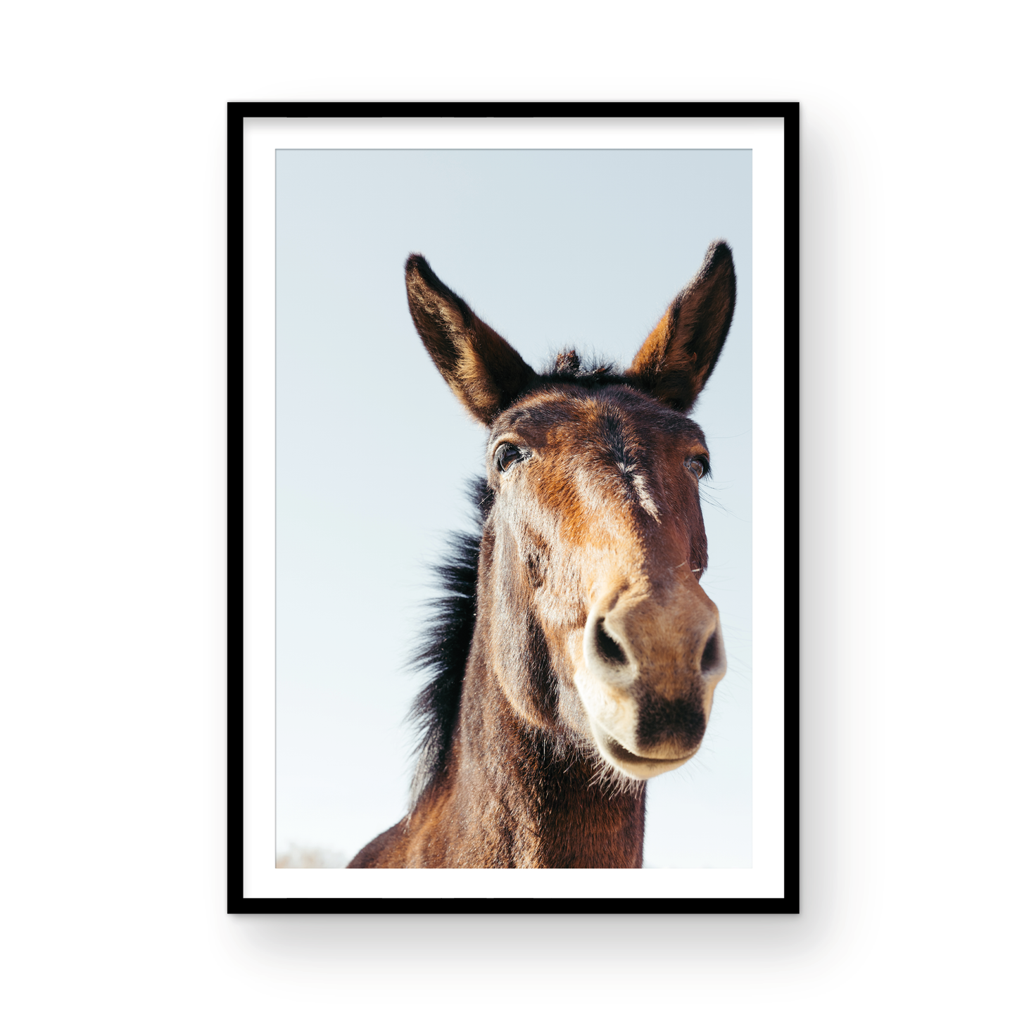 Mule Days, Nine