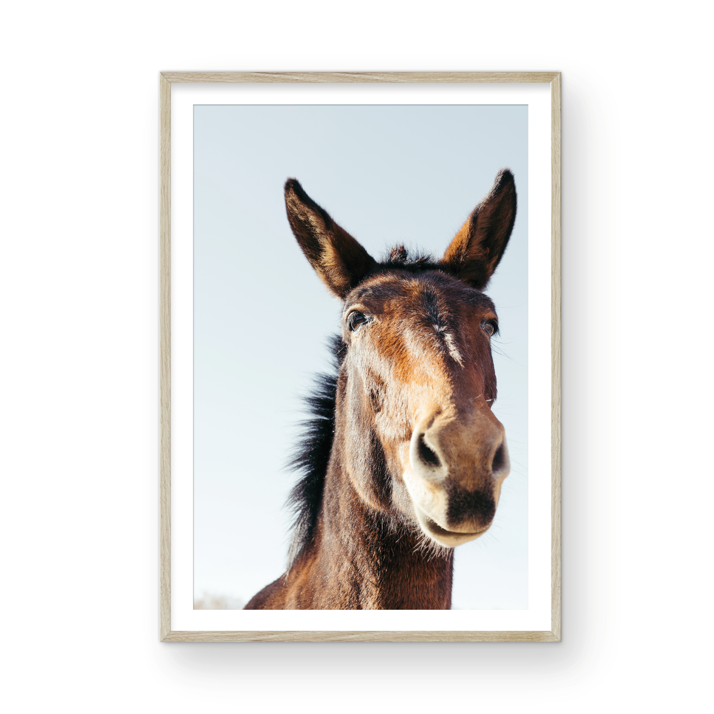 Mule Days, Nine