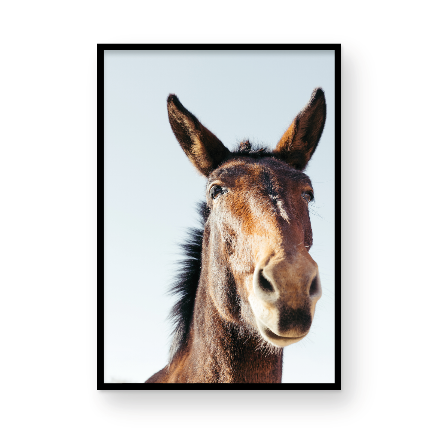 Mule Days, Nine