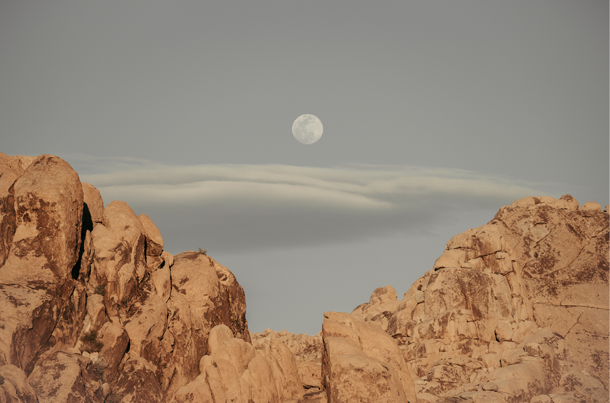 Moonrise in the Park, One